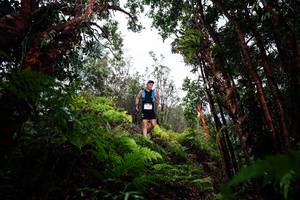 BIB: 
                            <button type="button" onclick="openModal(26201112)" class="btn btn-primary btn-sm float-right btn-popup" data-toggle="modal" data-target=".modal-high-quality">
                        <i class="fas fa-shopping-cart"></i> Add to Cart
                    </button>
                                            <button type="button" onclick="isThisMe(26201112, true)" class="btn btn-success btn-sm float-right btn-popup btn-isme hidden" data-toggle="tooltip" data-placement="bottom" title="นี่คือรูปของคุณใช่ไหม คลิกที่นี่เพื่อเอาเข้าอัลบั้ม">
                        <i class="fas fa-plus"></i> Add to album
                    </button>
                    <button type="button" onclick="isThisMe(26201112, false)" class="btn btn-warning btn-sm float-right btn-popup btn-isnotme hidden">
                        <i class="fas fa-ban"></i> Remove from album
                    </button>